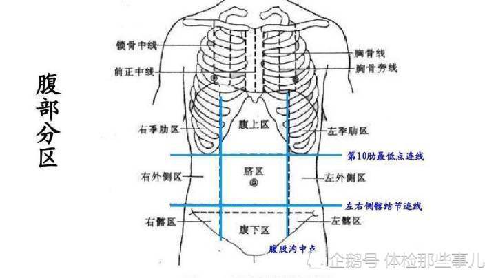 腹部原来有这么多器官,那肚子疼到底是什么原因,哪个器官引起的呢?