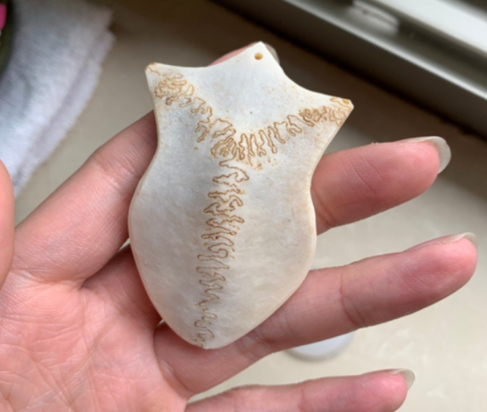 文玩人胆子就是大,记录用梅花鹿头骨做三界牌的过程