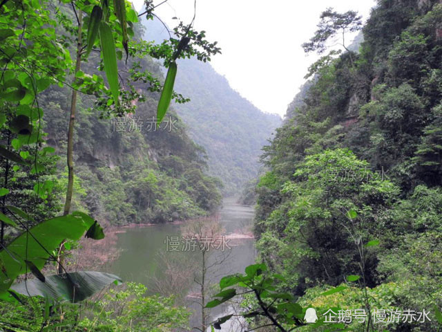 在童仙溪下游看到一处水库,那便是进入了赤水市官渡镇境内.