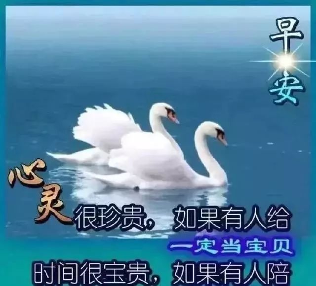 10月13日清晨早上好问候祝福动态表情图片 最美早晨好