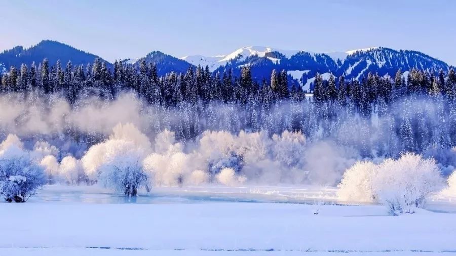 新疆下雪了!一组雪景照片惊艳全国