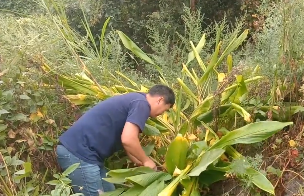 捐精志愿者八成不合格 捐精全过程揭秘!