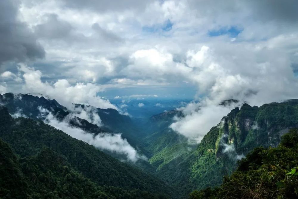 广西大明山橄榄大峡谷|农培扬 摄