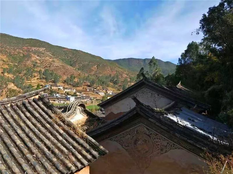美泗村位于大姚县龙街镇,路边几株柏树,苍劲挺拔而又历经风霜,村庄像