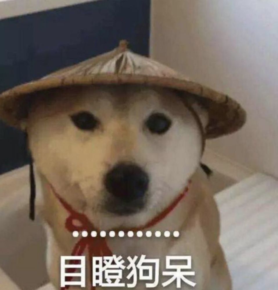 闹了个大乌龙