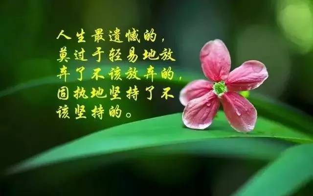 2019经典的人生感悟哲理语录,句句深入人心