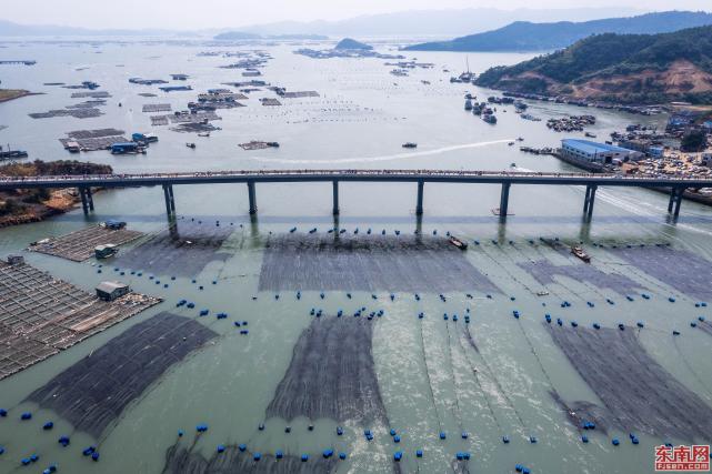 霞浦东安岛跟关门有多少人口_上海浦东机场图片