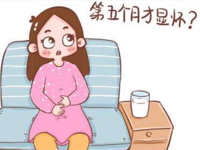 孕妇通常会在"这个月"显怀,若显怀过早,大多是因为这3