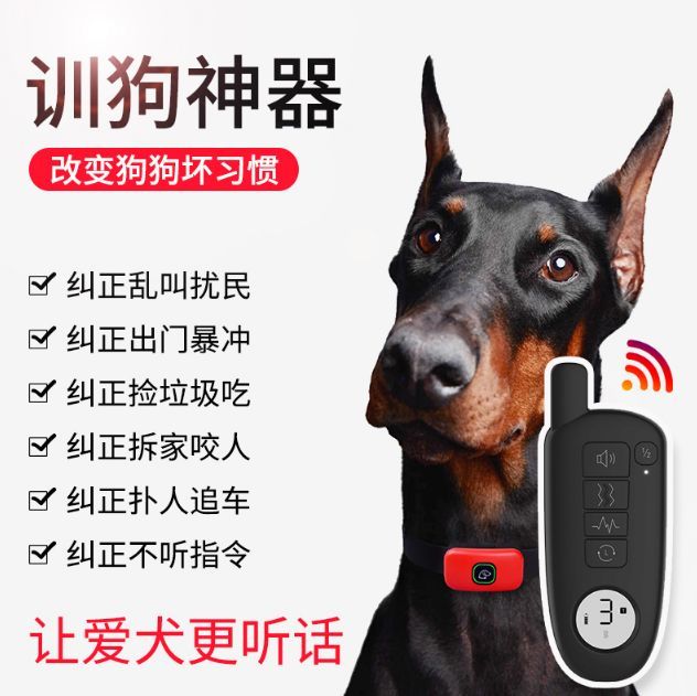 是通过电流让狗狗承受疼痛,一键矫正所有不良习惯的训狗神器