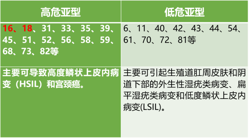 目前已发现100余种hpv亚型,根据其致病能力可分为高危型和低危型两种.