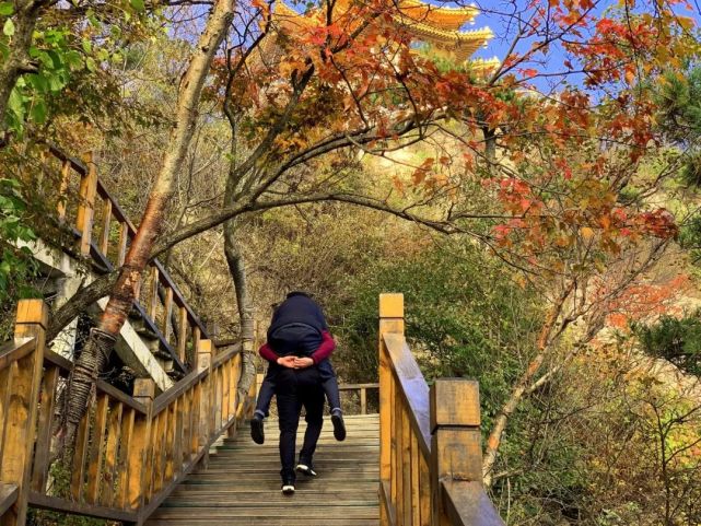 世界这么大，你带父母看过吗？老君山上这一幕感动着你我