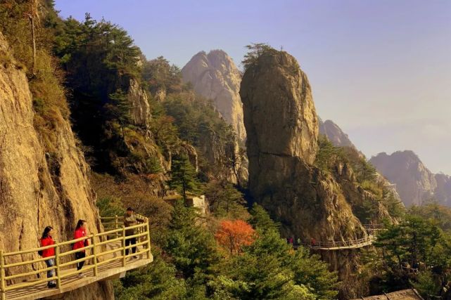 世界这么大，你带父母看过吗？老君山上这一幕感动着你我
