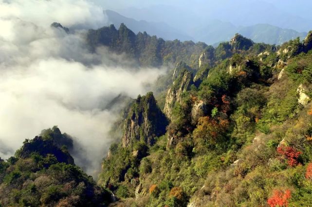 世界这么大，你带父母看过吗？老君山上这一幕感动着你我