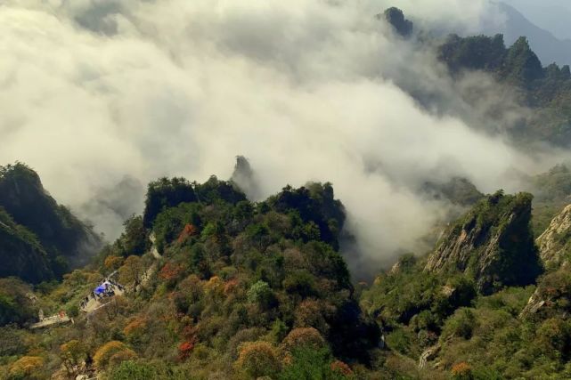 世界这么大，你带父母看过吗？老君山上这一幕感动着你我