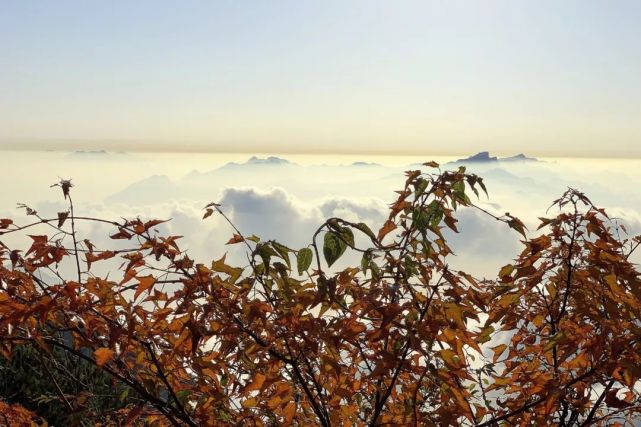世界这么大，你带父母看过吗？老君山上这一幕感动着你我