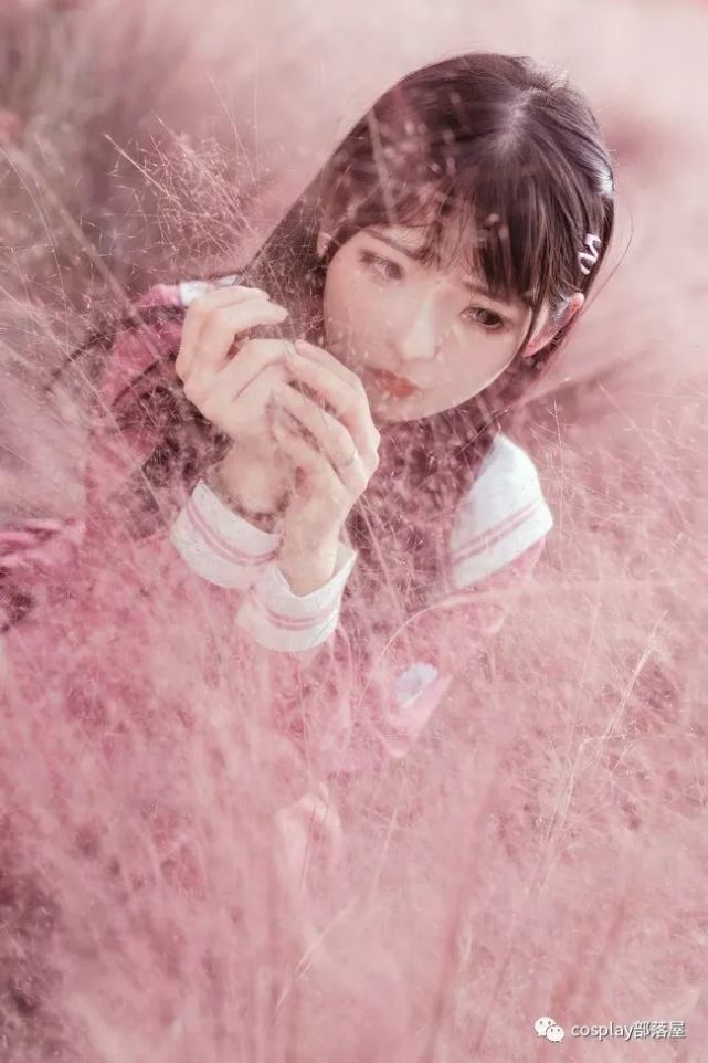 jk少女,粉草里的小姐姐.