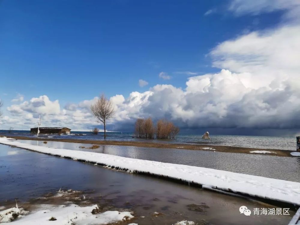 万象晓一色,浩然天地中|青海湖雪景