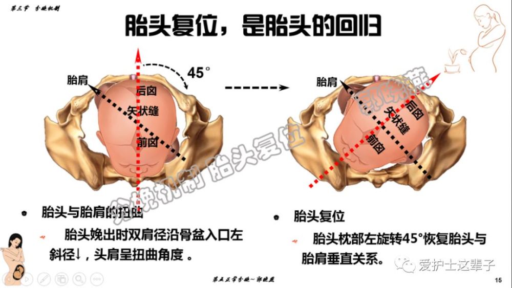 初中体育教案2015全员培训实践作业_初中体育教案格式_初中体育教案《足球》