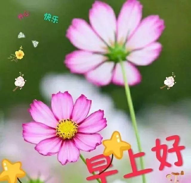 12月11日早安漂亮问候图片短信祝福语,最美早安问候祝福语图片