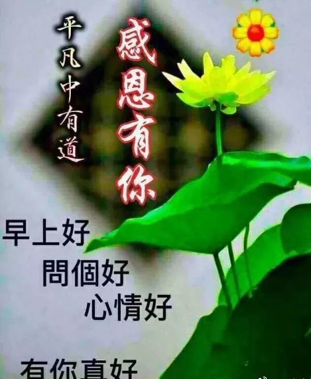 2021年秋天早安温馨问候语,秋天清晨早安祝福话语句句