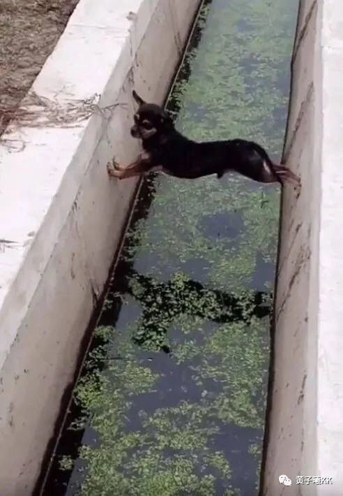 01 02 这是我给自己留的最后的尊严 03 04 05 06 别担心, 等下雨了