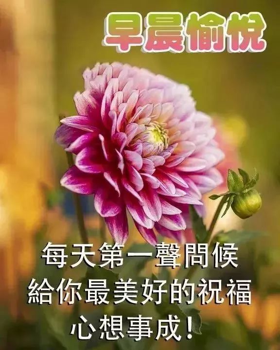 早安祝福表情及关心的话语 早安祝福问候语图片