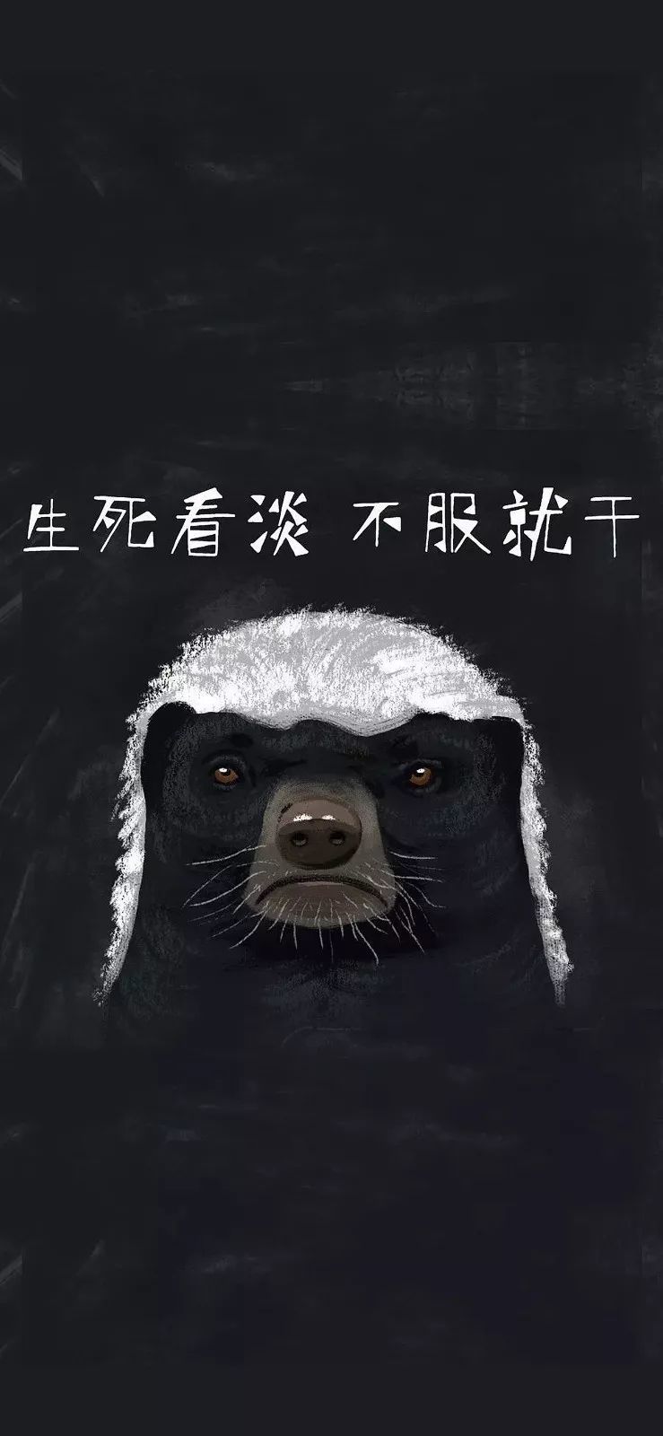 余生很贵,请别浪费 壁纸很美,请别错过