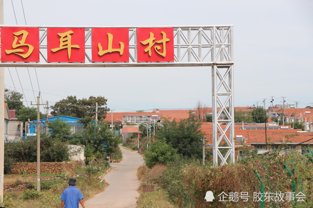 烟台莱阳有个马耳山村,因附近山的形状像马的耳朵而得