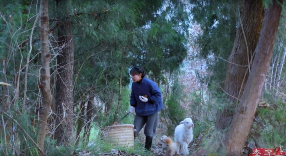 李子柒的后院，终于明白为什么2000万人羡慕她