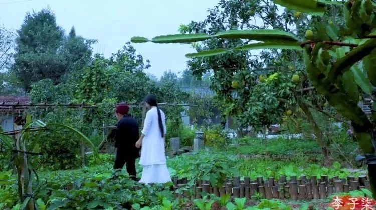 李子柒的后院，终于明白为什么2000万人羡慕她
