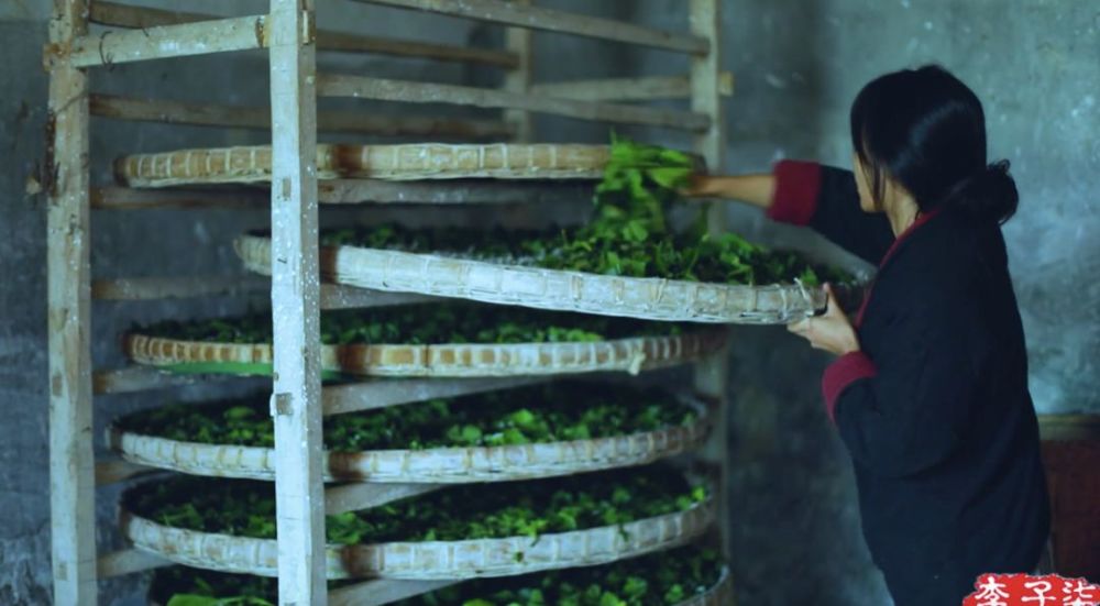 李子柒的后院，终于明白为什么2000万人羡慕她