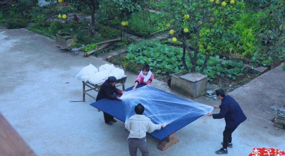 李子柒的后院，终于明白为什么2000万人羡慕她