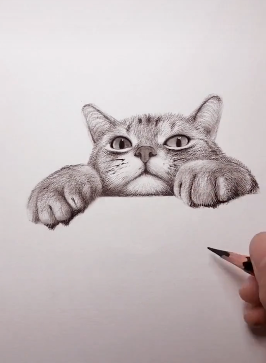 美术生在线教学,手绘猫咪简单生动,网友:眼睛会了,手没跟上