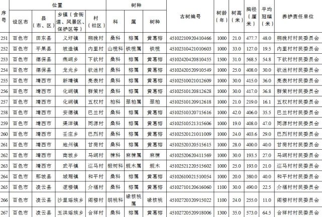 百色市这47棵古树树龄均超千年 列为特级保护古树 百色,百色市,古树,树树