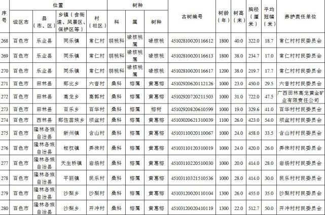 百色市这47棵古树树龄均超千年 列为特级保护古树 百色,百色市,古树,树树