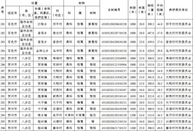 百色市这47棵古树树龄均超千年 列为特级保护古树 百色,百色市,古树,树树