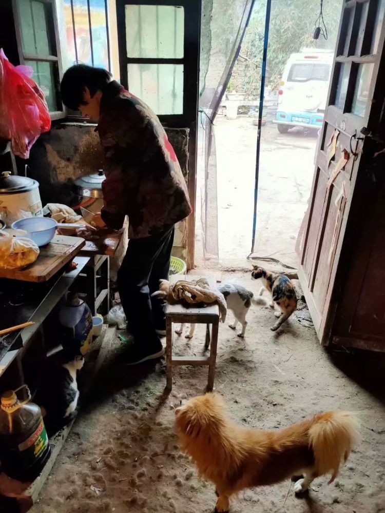 十月乡村秋种季,雨天里的父亲母亲