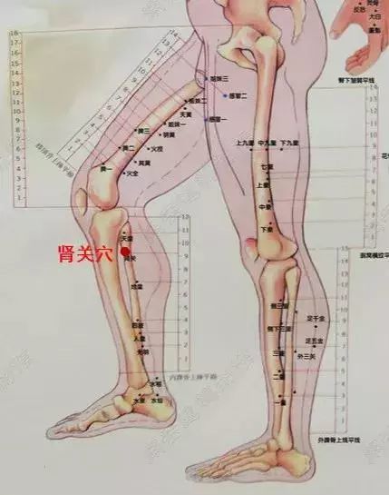 2,肾关穴治尿频说明:重子与重仙两穴近传统十四经肺经,亦入肺经,因此