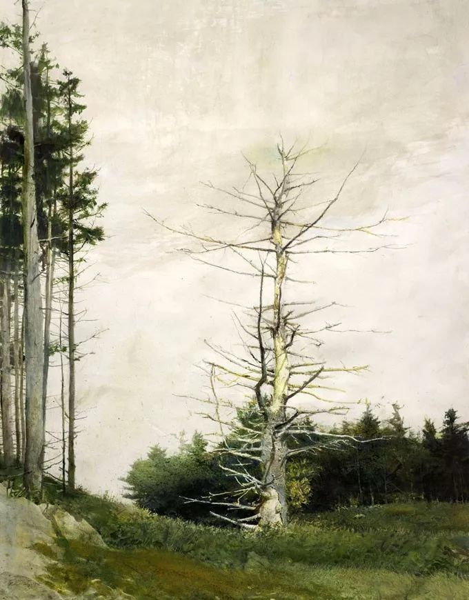 安德鲁怀斯andrewwyeth