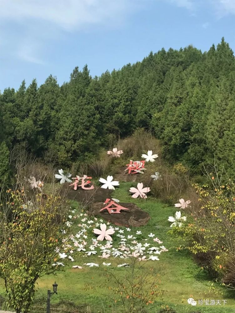 遵义——樱花谷及百草园