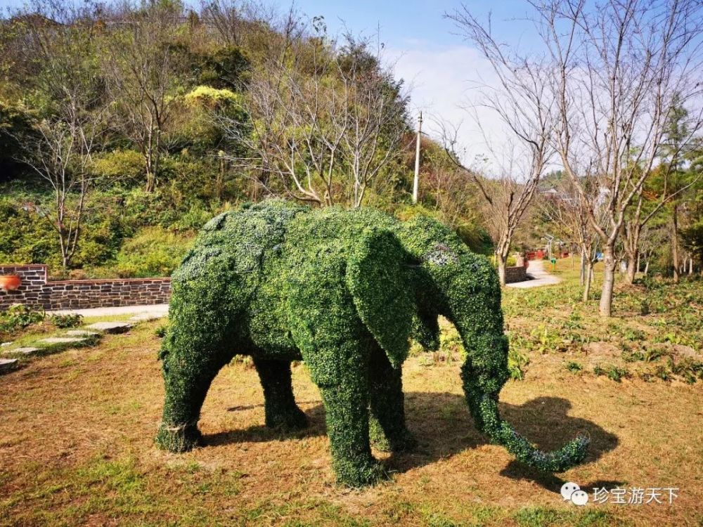 遵义樱花谷及百草园