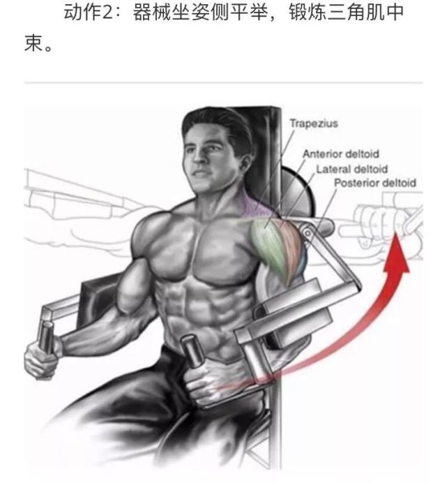 动作1:哑铃左右推肩双手持哑铃或壶铃举起至肩膀一侧,动作过程中将