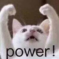 恭喜你的猫猫表情包又新添一员:变身白猫,power!