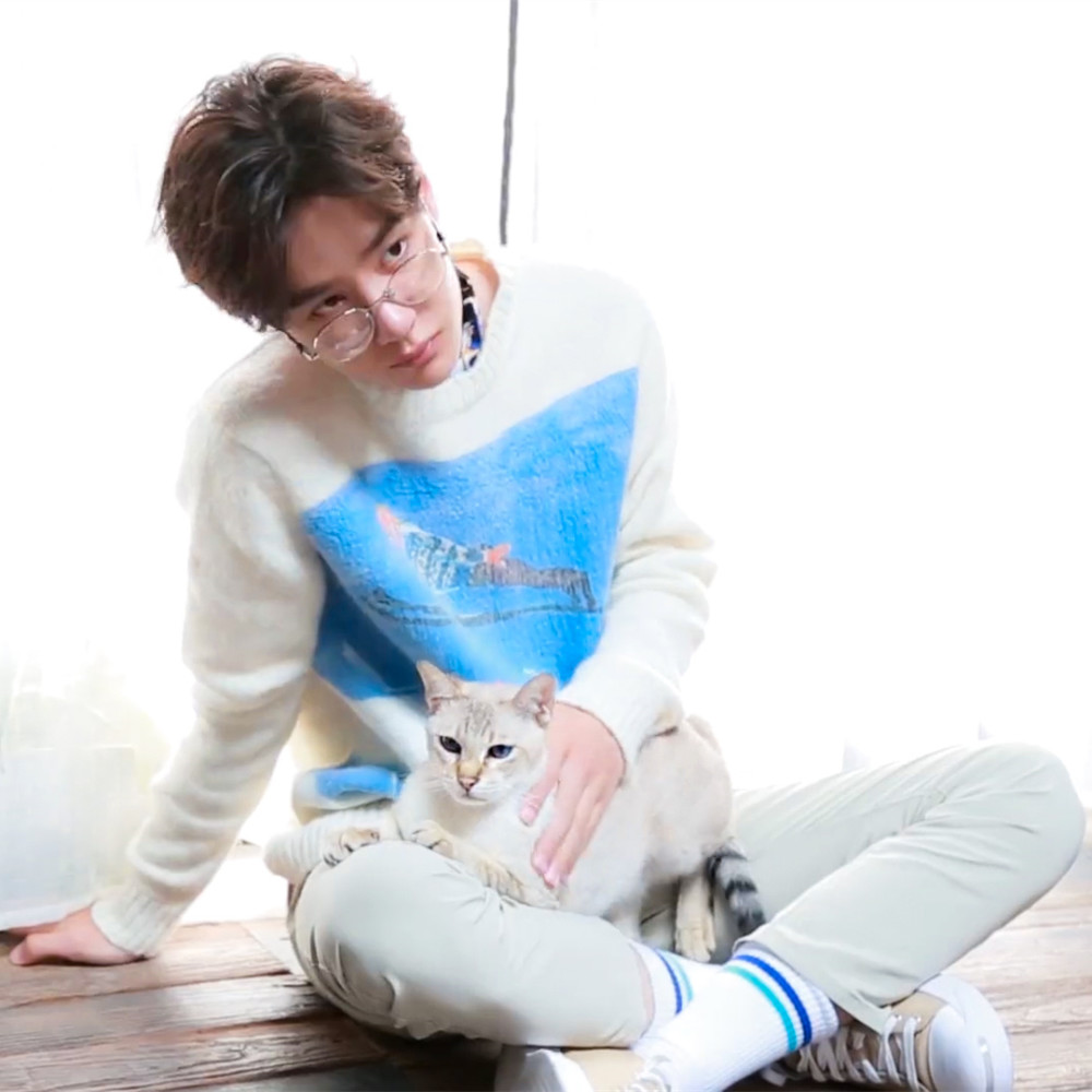 王一博与猫一起拍写真本以为画面会很美好下一秒的反转笑哭网友