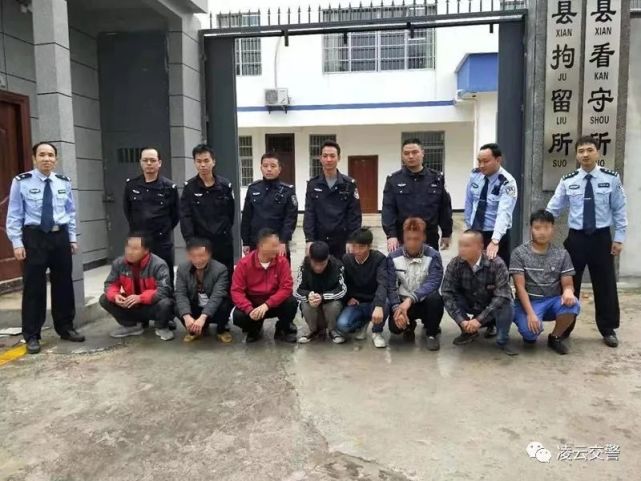 凌云交警曝光8名被执行行政拘留人员名单 有你认识的吗 凌云,交警,曝光,8名,执行