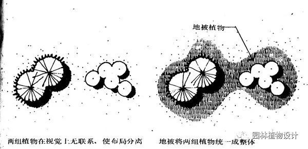 园林中利用植物而构成的基本空间类型(1)开敞空间—用小尺度植物