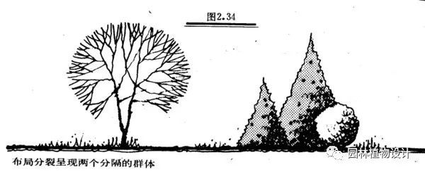 园林中利用植物而构成的基本空间类型(1)开敞空间—用小尺度植物