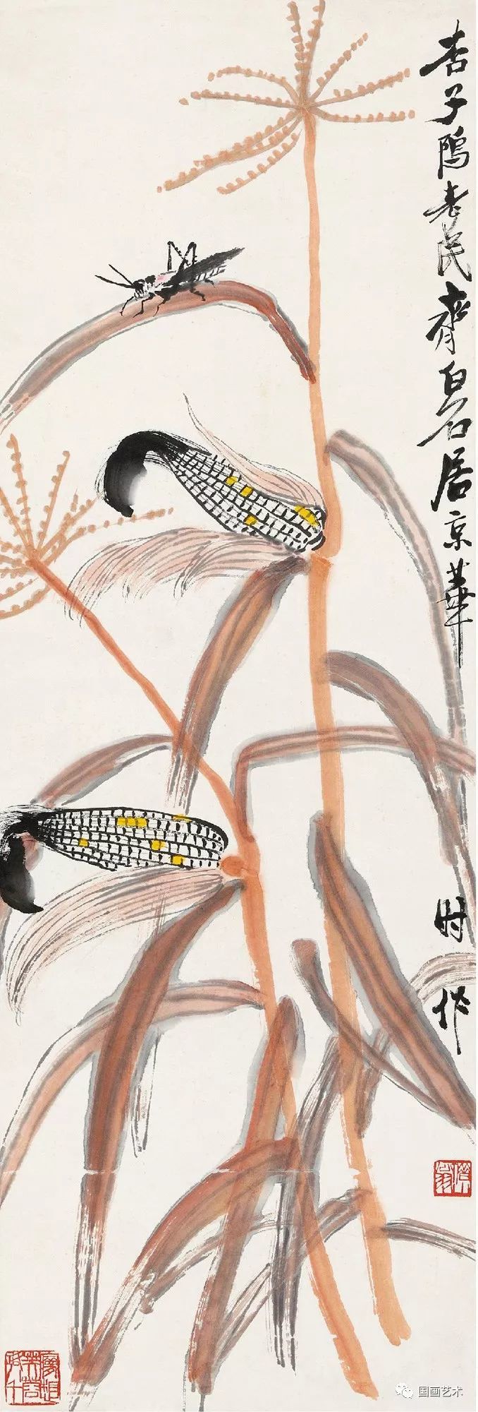 齐白石 玉米齐白石 玉米秋蝗齐白石 玉米齐白石 玉米齐白石 蟋蟀玉米