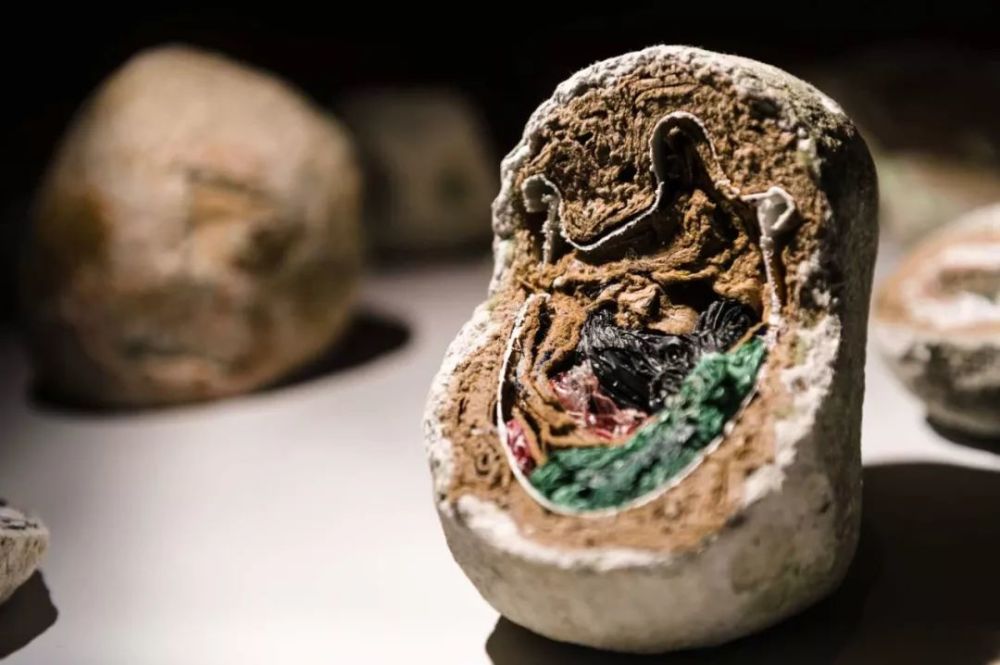 人类不属于地球的证据图片