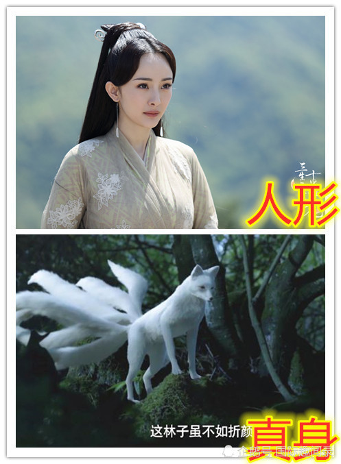 女君人形vs真身,白浅九尾白狐,火鬼王熔岩,看到最后一张:输了输了!